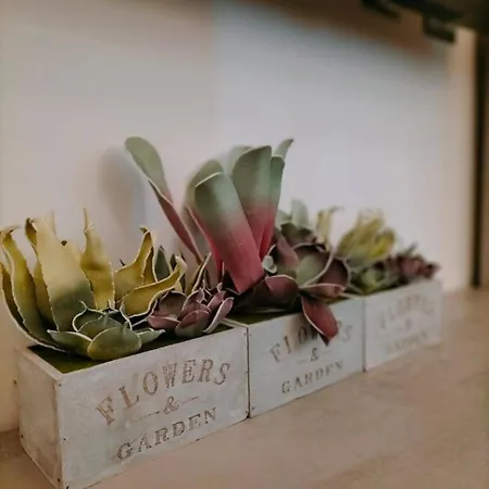 Apartamento King Al Palazzetto *